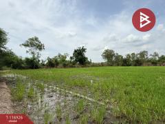 ขายที่ดิน-เนื้อที่-3-งาน-96-ตร.วา-พุทธมณ