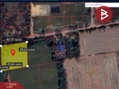 ขายที่ดิน เนื้อที่ 3 งาน 96 ตร.วา พุทธมณฑล นครปฐม-202507190639091752881949537.jpg