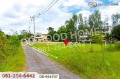 DD-954707 ที่ดินบวกค้าง 382 ตร.ว. สันกำแพง เชียงใหม่ ใกล้โรงพยาบาลสันกำแพง-202507191119561752898796141.jpg