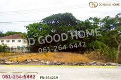 FN-854219 ที่ดินบางบัวทอง 147 ตร.ว. นนทบุรี ใกล้โรงเรียนสารสาสน์วิเทศไทรน้อยพิทยาคาร-202507191432171752910337144.jpg