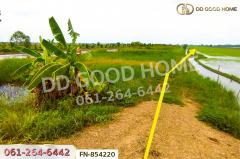 FN-854220 ที่ดินลำลูกกาคลอง 11 ปทุมธานี 4 ไร่ 237.3 ตร.ว. ใกล้สนามกอล์ฟลำลูกกาคันทรีคลับ-202507191512021752912722650.jpg