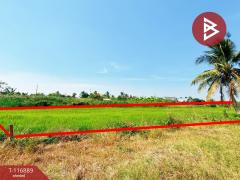 ขายที่ดิน ถ.ขุมทอง-ลำต้อยติ่ง เนื้อที่ 1 งาน ลาดกระบัง กรุงเทพมหานคร-202507191512421752912762670.jpg