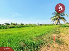 ขายที่ดิน ถ.ขุมทอง-ลำต้อยติ่ง เนื้อที่ 1 งาน ลาดกระบัง กรุงเทพมหานคร-202507191512431752912763208.jpg
