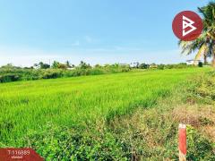 ขายที่ดิน ถ.ขุมทอง-ลำต้อยติ่ง เนื้อที่ 1 งาน ลาดกระบัง กรุงเทพมหานคร-202507191512441752912764288.jpg