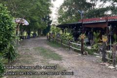 ขายที่ดินติดถนน อ.เมือง จ.เพชรบุรี