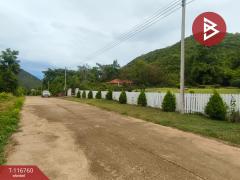 ขายบ้านเดี่ยวพร้อมที่ดิน เนื้อที่ 4 ไร่ 1 งาน 48.2 ตร.วา แก่งกระจาน เพชรบุรี-202507201349131752994153579.jpg