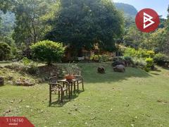 ขายบ้านเดี่ยวพร้อมที่ดิน เนื้อที่ 4 ไร่ 1 งาน 48.2 ตร.วา แก่งกระจาน เพชรบุรี-202507201349141752994154114.jpg