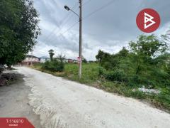 ขายที่ดิน เนื้อที่ 49 ตร.วา สามพราน นครปฐม-202507201539231753000763935.jpg
