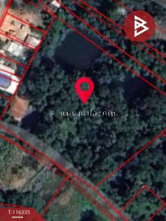 ขายที่ดิน เนื้อที่ 4 ไร่ 1 งาน 9 ตร.วา บึงกาฬ บึงกาฬ-202507201548101753001290169.jpg