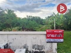 ขายที่ดิน เนื้อที่ 1 งาน 69.7 ตร.วา ท่าซัก นครศรีธรรมราช-202507201601551753002115465.jpg