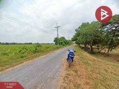 ขายที่ดิน เนื้อที่ 1 ไร่ 1 งาน 83.8 ตร.วา องครักษ์ นครนายก-202507201614251753002865182.jpg