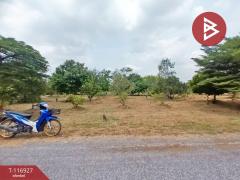 ขายที่ดิน เนื้อที่ 1 ไร่ 1 งาน 83.8 ตร.วา องครักษ์ นครนายก-202507201614251753002865737.jpg