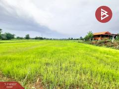 ขายที่ดิน เนื้อที่ 1 ไร่ 1 งาน 17.2 ตร.วา สีแก้ว ร้อยเอ็ด