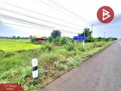 ขายที่ดิน เนื้อที่ 1 ไร่ 1 งาน 17.2 ตร.วา สีแก้ว ร้อยเอ็ด-202507201634021753004042086.jpg