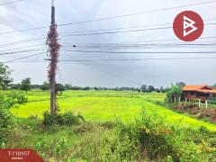 ขายที่ดิน เนื้อที่ 1 ไร่ 1 งาน 17.2 ตร.วา สีแก้ว ร้อยเอ็ด-202507201634031753004043184.jpg