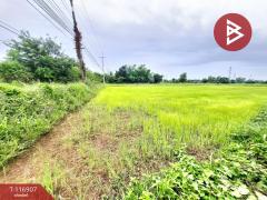 ขายที่ดิน เนื้อที่ 1 ไร่ 1 งาน 17.2 ตร.วา สีแก้ว ร้อยเอ็ด-202507201634031753004043731.jpg