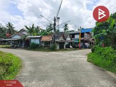 ขายที่ดิน เนื้อที่ 4 ไร่ 3 งาน 4 ตร.วา แหลมสิงห์ จันทบุรี-202507201712131753006333074.jpg