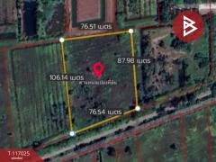 ขายที่ดิน เนื้อที่ 4 ไร่ 3 งาน 42 ตร.วา องครักษ์ นครนายก-202507201716211753006581562.jpg