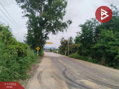 ขายที่ดิน เนื้อที่ 1 ไร่ ชะอำ เพชรบุรี-202507201719481753006788441.jpg