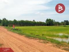 ขายที่ดิน เนื้อที่ 13 ไร่ สีดา นครราชสีมา-202507201737521753007872349.jpg