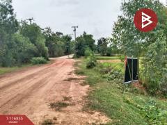 ขายที่ดิน เนื้อที่ 13 ไร่ สีดา นครราชสีมา-202507201737531753007873961.jpg