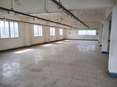 ขายอาคารสำนักงาน 6 ชั้น พร้อมโรงงาน คลังสินค้า พื้นที่ 200 ตร.วา ซอยลาดพร้าว 80 แยก 26 เขตวังทองหลาง ใกล้รถไฟฟ้าสีเหลือง สถานีลาดพร้าว 71-202507211130591753072259078.jpg