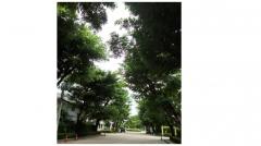 ขาย / เช่า บ้านเดี่ยวสองชั้น Inizio ขอนแก่น-202507211137341753072654359.jpg