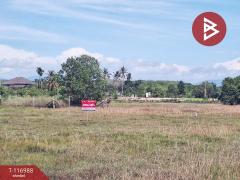 ขายที่ดิน เนื้อที่ 50.6 ตร.วา ท่าศาลา นครศรีธรรมราช