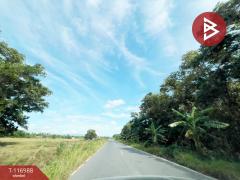 ขายที่ดิน เนื้อที่ 50.6 ตร.วา ท่าศาลา นครศรีธรรมราช-202507211242281753076548247.jpg