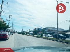 ขายที่ดิน เนื้อที่ 50.6 ตร.วา ท่าศาลา นครศรีธรรมราช-202507211242291753076549363.jpg