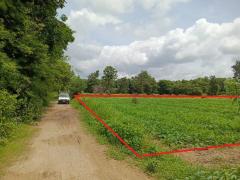 ขายที่ดิน 7 ไร่ ติดถนน 2 ด้าน ใกล้ ม.อุบล-202507211436571753083417255.jpg