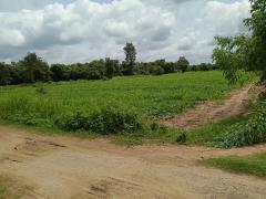 ขายที่ดิน 7 ไร่ ติดถนน 2 ด้าน ใกล้ ม.อุบล-202507211436581753083418398.jpg