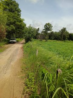 ขายที่ดิน 7 ไร่ ติดถนน 2 ด้าน ใกล้ ม.อุบล-202507211436581753083418960.jpg