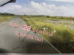 ขายด่วน ที่ดินเปล่า จ.นครนายก คลอง22 ขนาด 310 ตรว. พื้นที่ติดกัน-202507211443181753083798864.jpg