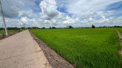 โฉนดครุฑแดง 14 ไร่ ต.ท้ายดง อ.วังโป่ง จ.เพชรบูรณ์ ที่ดินติดคลองส่งน้ำ อุดมสมบูรณ์**-202507211811011753096261080.jpg