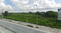 ขาย ที่ดิน พัทยา สัตหีบ นาจอมเทียน เนื้อที่ 7 ไร่ 1 งาน 37 ตรว-202507211811391753096299944.jpg