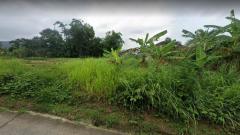 ขายที่โฉนด ปรับพื้นที่แล้ว ซอยไสน้ำเย็น เนื้อที่ 259 ตร.ว.-202507212200481753110048307.jpg