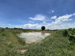 ขายที่ดินเปล่าติดถนน วิวบึงควง อำเภอศรีประจันต์ จังหวัดสุพรรณบุรี-202507220927291753151249213.jpg
