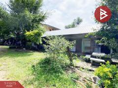 ขายบ้านเดี่ยวพร้อมที่ดิน เนื้อที่ 2 ไร่ 1 งาน 79.1 ตร.วา บ้านดู่ เชียงราย-202507221020091753154409196.jpg