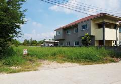 ขายที่ดิน บางบัวทอง ซอยเลียบคลองนายหลีก ใกล้วัดลาดปลาดุก เนื้อที่ 130 ตร.ว. ถมแล้ว-202507221159261753160366742.jpg