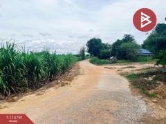 ขายที่ดิน เนื้อที่ 1 งาน 86 ตร.วา ต.บ่อกรุ อ.เดิมบางนางบวช จ.สุพรรณบุรี ราคาถูก-202507221205581753160758185.jpg