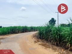 ขายที่ดิน เนื้อที่ 1 งาน 86 ตร.วา ต.บ่อกรุ อ.เดิมบางนางบวช จ.สุพรรณบุรี ราคาถูก-202507221205581753160758727.jpg
