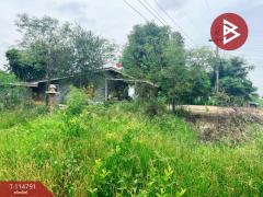 ขายที่ดิน เนื้อที่ 1 งาน 86 ตร.วา ต.บ่อกรุ อ.เดิมบางนางบวช จ.สุพรรณบุรี ราคาถูก-202507221206001753160760732.jpg