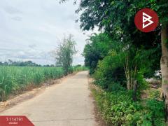 ขายที่ดิน เนื้อที่ 1 งาน 86 ตร.วา ต.บ่อกรุ อ.เดิมบางนางบวช จ.สุพรรณบุรี ราคาถูก-202507221206021753160762439.jpg