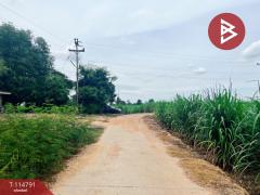 ขายที่ดิน เนื้อที่ 1 งาน 86 ตร.วา ต.บ่อกรุ อ.เดิมบางนางบวช จ.สุพรรณบุรี ราคาถูก-202507221206021753160762985.jpg