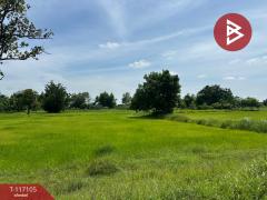 ขายที่ดิน เนื้อที่ 7 ไร่ 2 งาน 87 ตร.วา ชุมเห็ด บุรีรัมย์-202507221231171753162277759.jpg