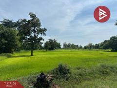 ขายที่ดิน เนื้อที่ 7 ไร่ 2 งาน 87 ตร.วา ชุมเห็ด บุรีรัมย์-202507221231181753162278302.jpg