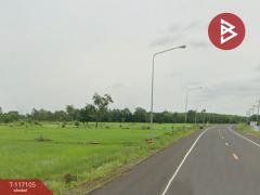 ขายที่ดิน เนื้อที่ 7 ไร่ 2 งาน 87 ตร.วา ชุมเห็ด บุรีรัมย์-202507221231191753162279938.jpg
