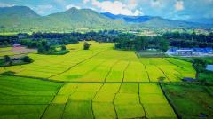 ขายที่ดิน ในโครงการชีวิตติดนา เฟส 2 ขนาด 73.9 ตร.ว. ใกล้ ถนนห้วยทราย-ใหม่-202507221259381753163978681.jpg