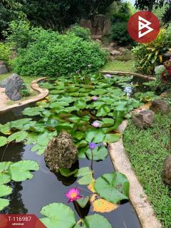 ขายที่ดินพร้อมสิ่งปลูกสร้าง เนื้อที่ 6 ไร่ 70 ตร.วา รอบเวียง เชียงราย-202507221336071753166167928.jpg